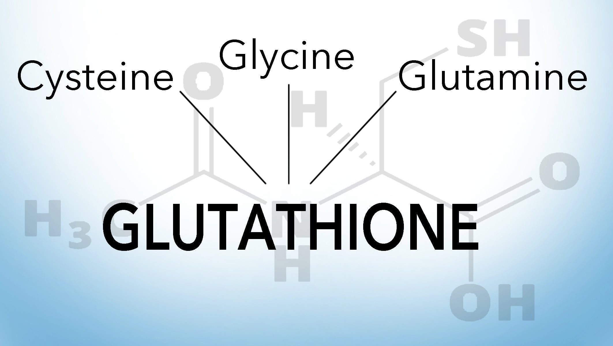 l cysteine vs glutathione Chemical structures of cysteine and reduced glutathione. Free main image 1